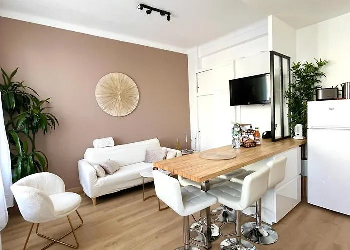 Nice - Appartement T3 Renove De 50 M2 Classe 2 Etoiles